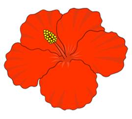 How
  to Draw Hibiscus Flower