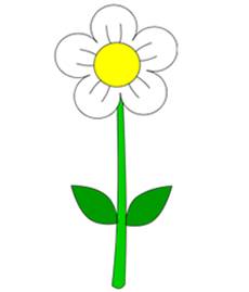 How
  to Draw Simple Cartoon Flower