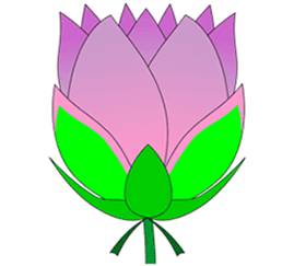 How
  to Draw Blooming Lotus
