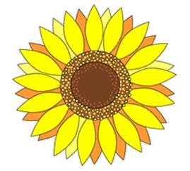 How
  to Draw Sunflowers