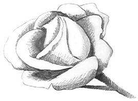 How
  to Draw Rose 