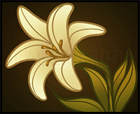 How to Draw an Easter Flower, Easter Lily