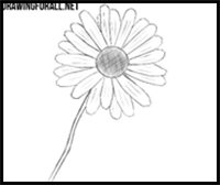 how to draw a Flower easy