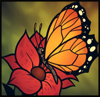 How to Draw a Butterfly on a Flower, Butterfly and Flower