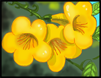 How to Draw Tecoma Stans Flowers