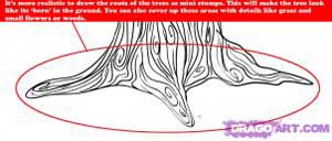How to Draw Trees and Their Bark