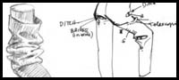 How to Draw and Understand Folds and Clothing by Storyboard Artist Kelly Brine 