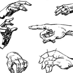 Drawing People's Arms and Hands