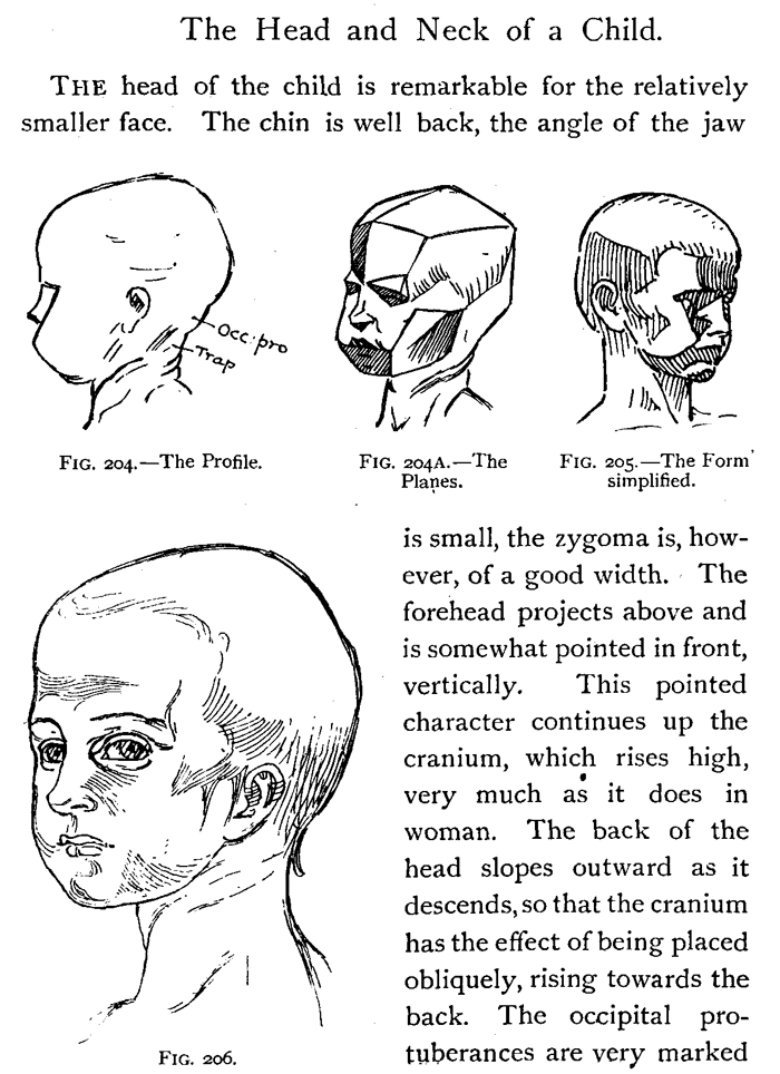 Drawing the Head and Neck of Children