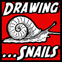 How to Draw Snails with Simple Step by Step Drawing Instructions