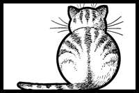 How to Draw Kitty Cats from the Back Drawing Lesson