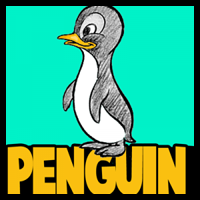 How to Draw Cartoon Baby Penguins in Simple Steps Lesson 
