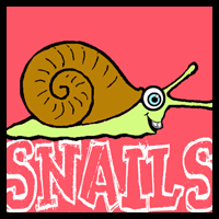 How to Draw Cartoon Snails with Easy Steps Drawing Tutorial 