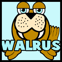 How to Draw Cartoon Walrus with Easy Step by Step Drawing Lesson 