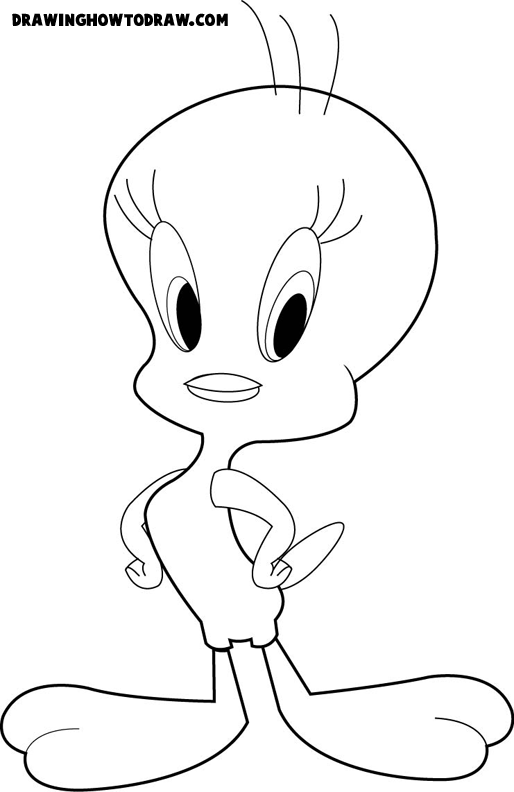 coloring pages of tweety. Bird Coloring Book Page to