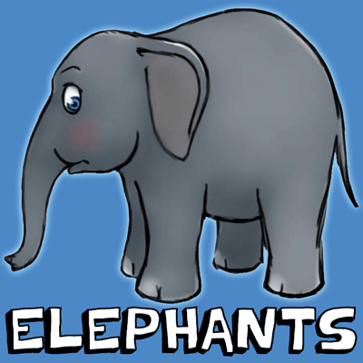 How To Draw Animals Step By Step For Kids. How to Draw Cartoon Elephants