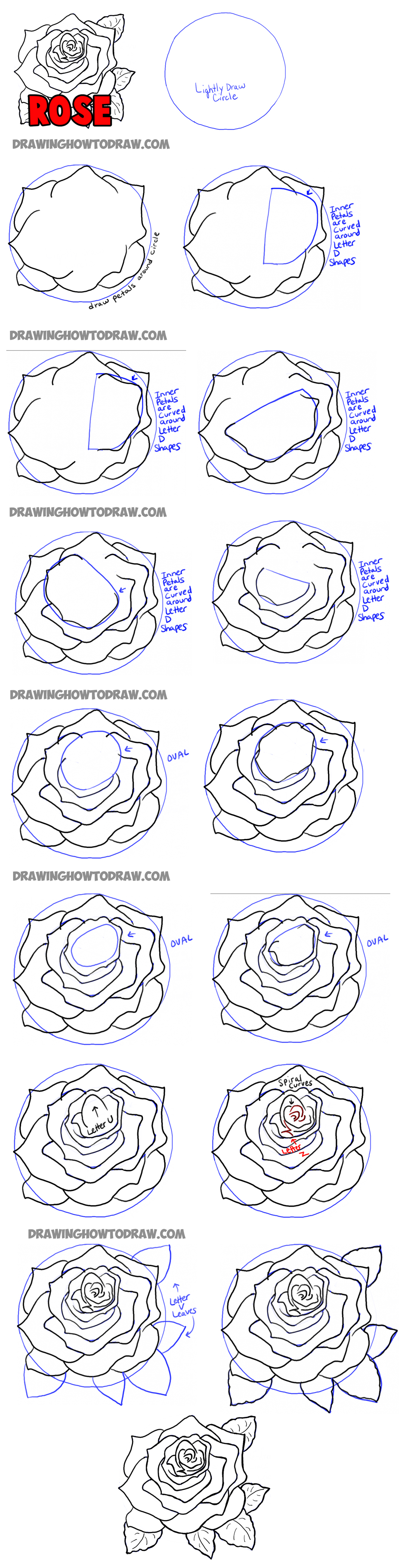How To Draw Roses Pictures 13
