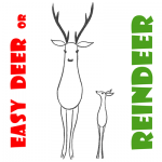 Learn How to Draw Simple Reindeer or Deer for Preschoolers and Children on Christmas Tutorial
