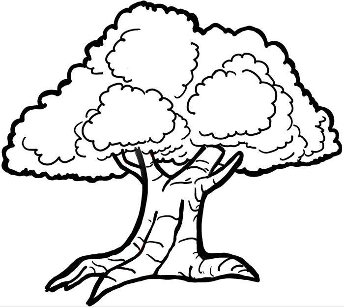  How To Draw A Cartoon Tree  Check it out now 
