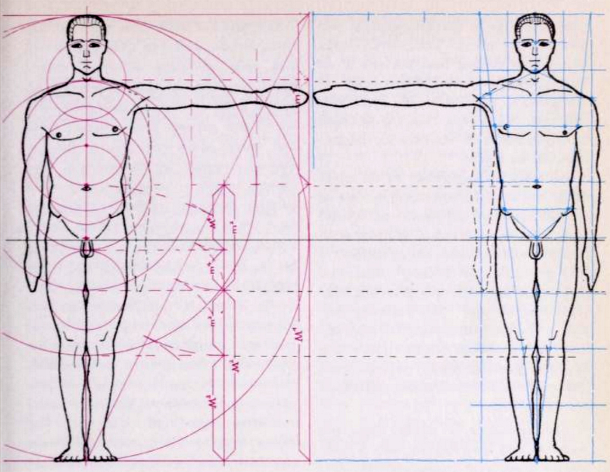 body measurements Archives - How to Draw Step by Step Drawing Tutorials