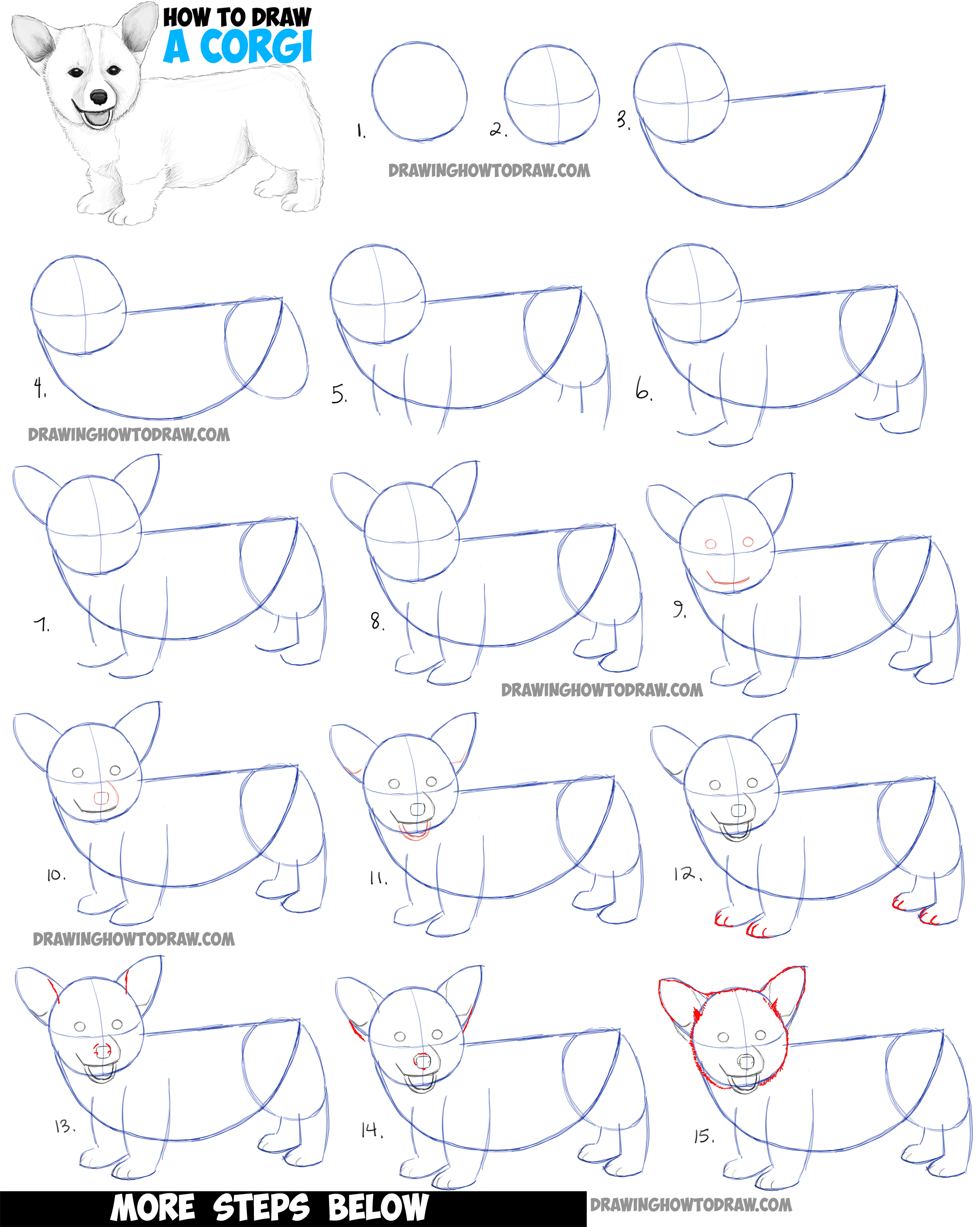 How to Draw a Corgi Puppy Easy Step by Step Realistic Drawing Tutorial