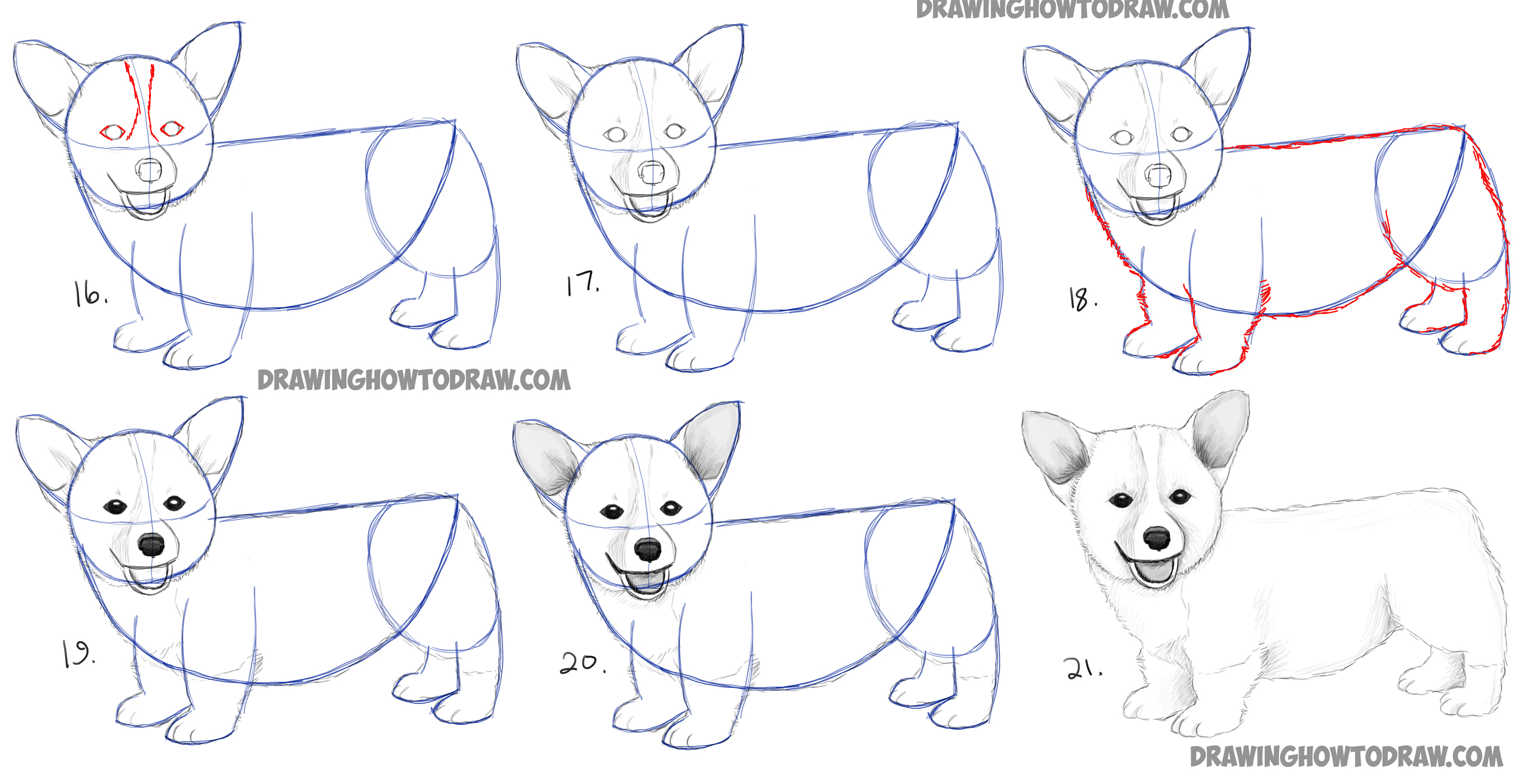 How To Draw A Realistic Dog Tutorial For Beginners | All in one Photos