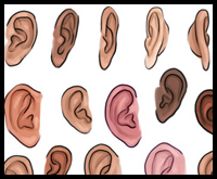 Tutorial on How to Draw Cartoon-ish Ears