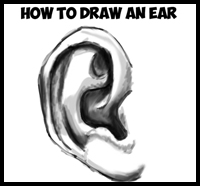 Learn How to Draw Ears and How to Shade Them : Drawing and Shading Ears Tutorial