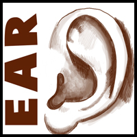 How to Draw Ears Side View with Easy Steps Lesson 