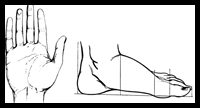 Drawing People's Feet and Hands with These Drawing Techniques and Methods
