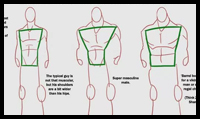 Drawing The Torso of Different Body Types