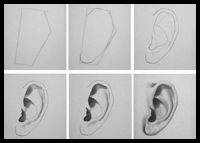 Learn how to draw an ear with the following drawing and shading tutorial
