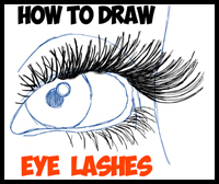 How to Draw Eye Lashes with Step by Step Illustrated Tutorial 