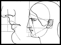 Drawing the Human Head in Correct Proportions