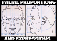 How to Draw the Human Head in the Right Proportions and Measurements