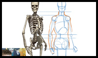 How to draw the Human Figure - Body Construction tutorial