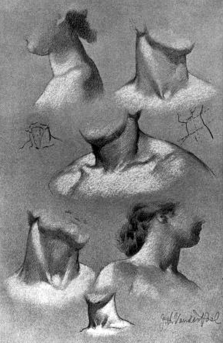 Drawing the Human Neck, Throat, and Shoulders with Anatomical Pictures