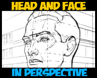 How to Draw the Face and Head in Correct Perspective