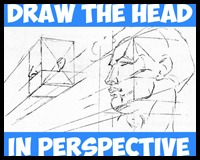 Drawing the human head in perspective