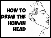 How to Draw the Human Head Step by Step Drawing Tutorial
