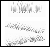 The Correct Way to Draw Eye Lashes