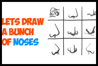 How to Draw Noses from All Different Angles and Position