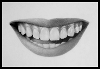 How to Draw Teeth – 7 Easy Steps