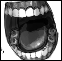 Teeth Drawing Visual Reference