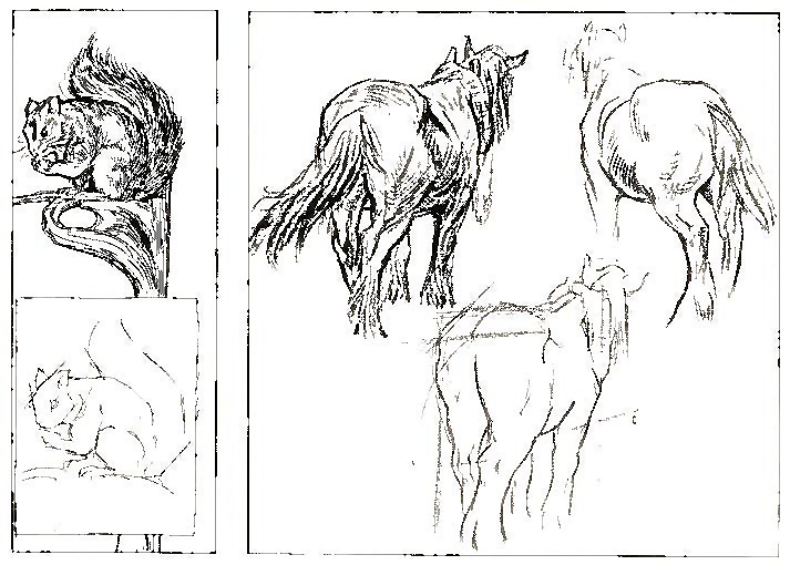 How to Draw Animals