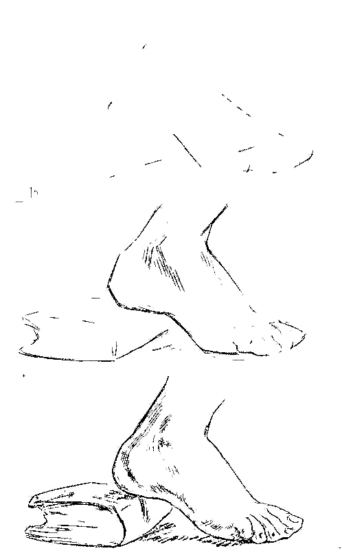 Drawing Toes