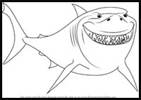 How to Draw Bruce from Finding Nemo