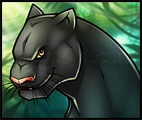 Drawing Bagheera from The Jungle Book