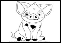 How to Draw Pua from Moana