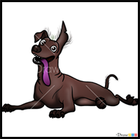 How to Draw Dante, Coco